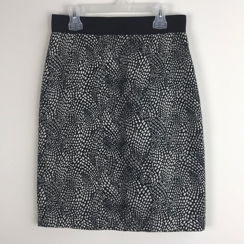 Ann Taylor Career or Date Night Pencil Skirt